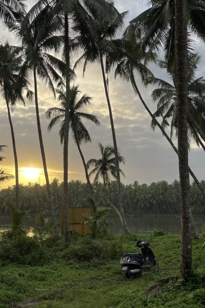 Freelance Digital Marketer In Malappuram Hobby1